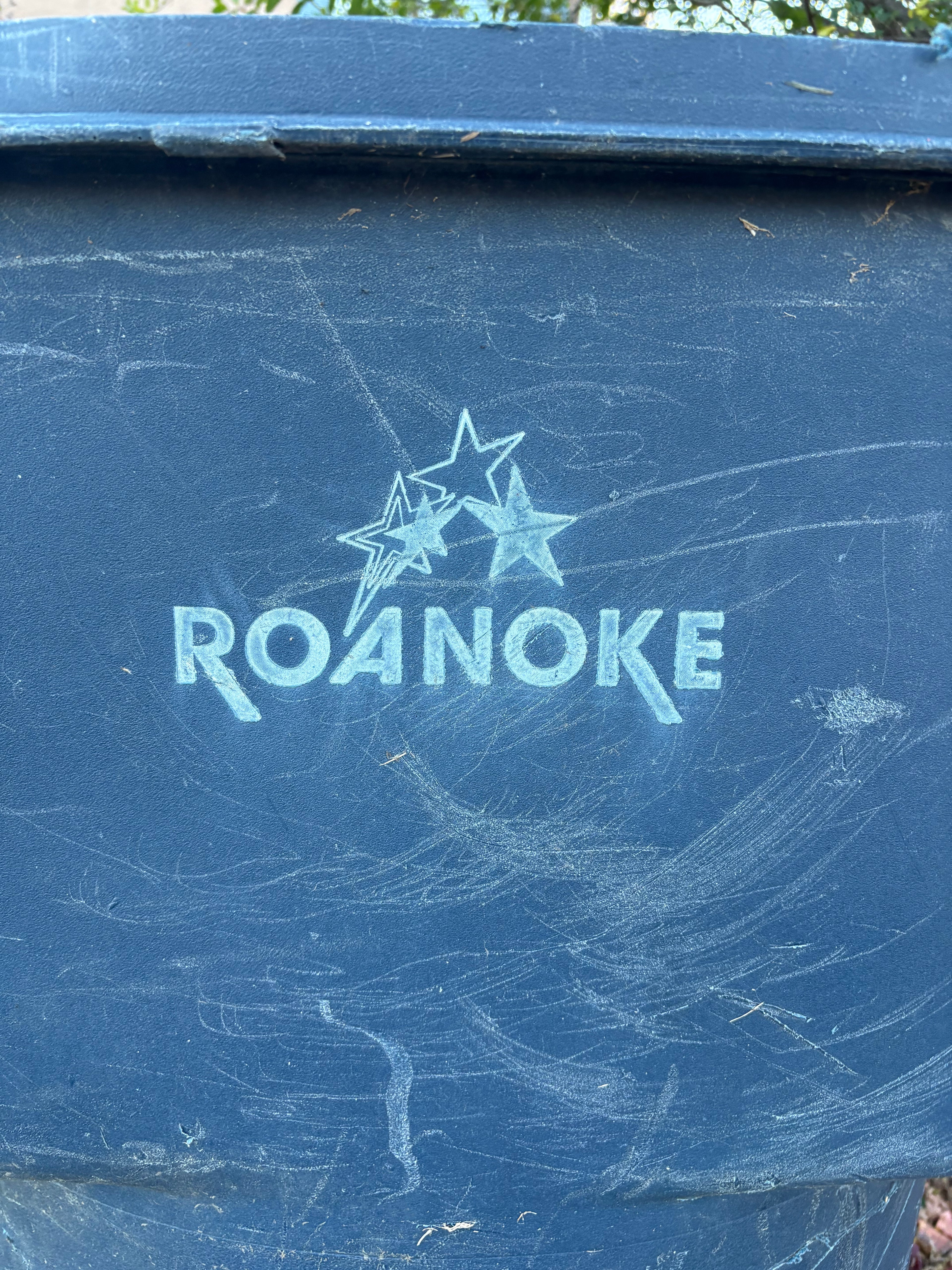 Vintage Roanoke Trash Can Tee