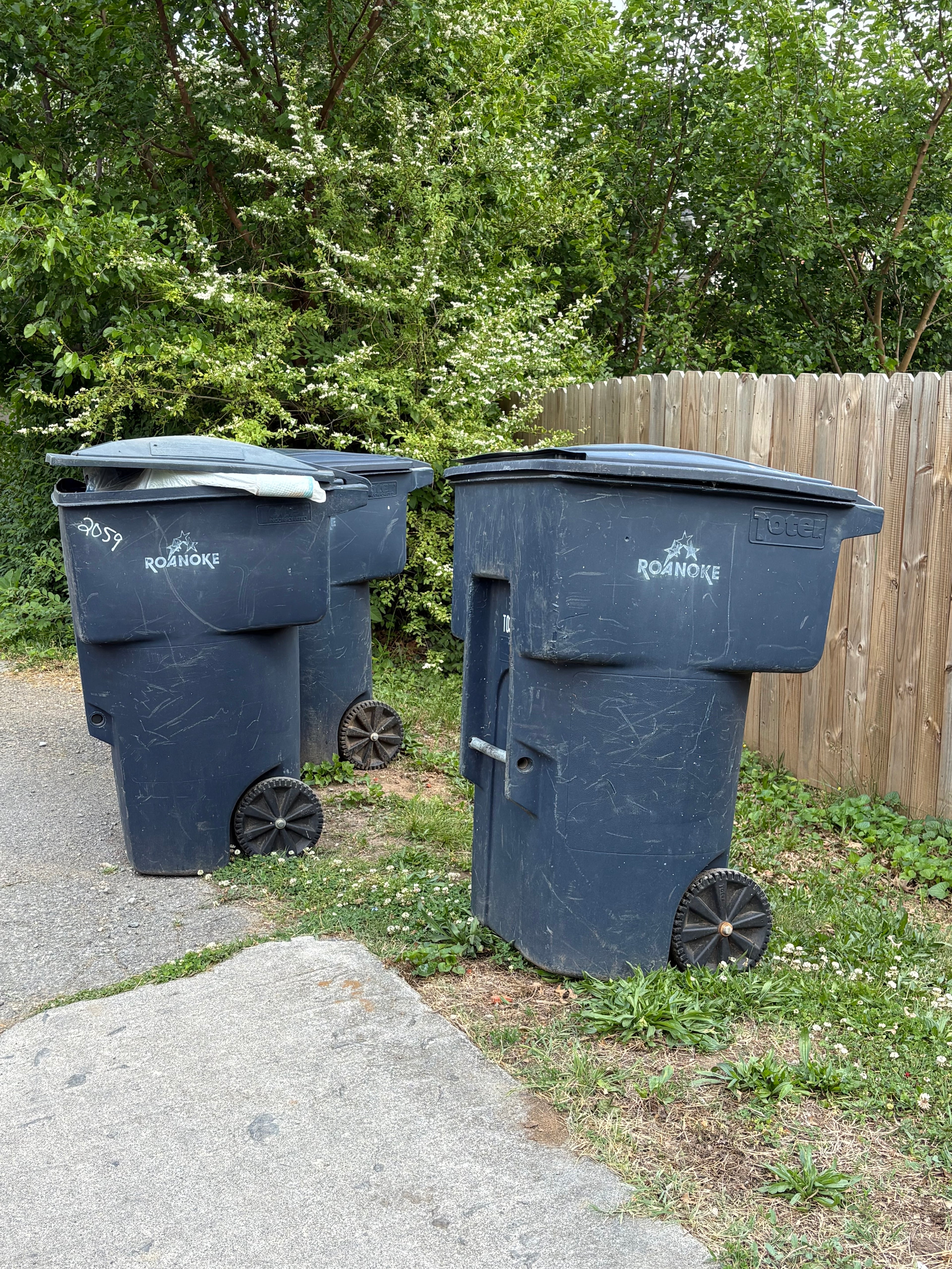 Vintage Roanoke Trash Can Tee